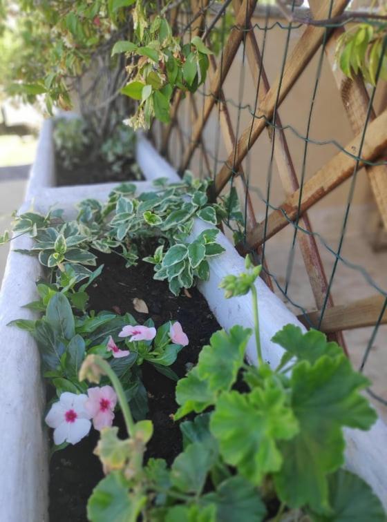 Apartmani Lucica Jezera Esterno foto