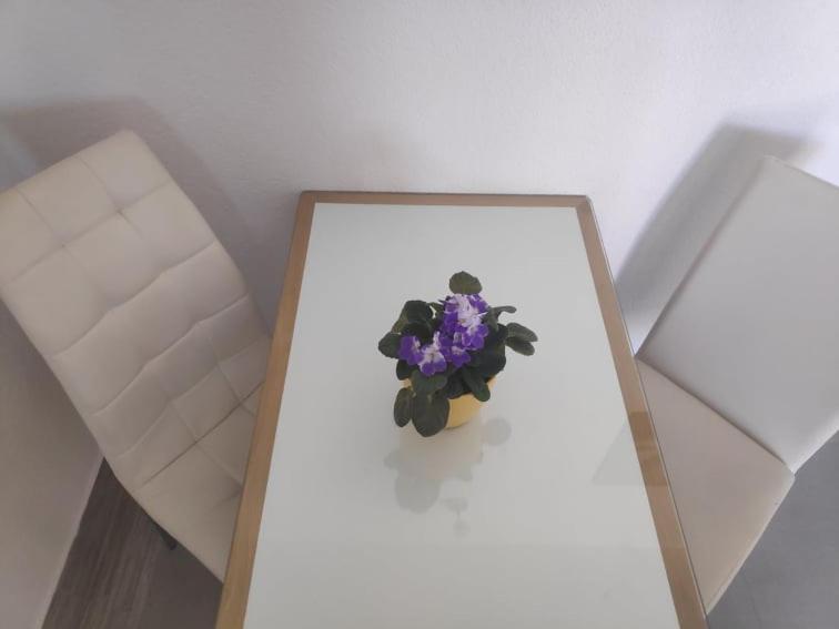 Apartmani Lucica Jezera Esterno foto