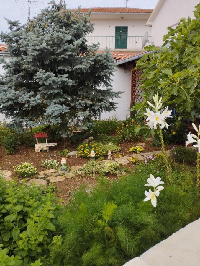 Apartmani Lucica Jezera Esterno foto